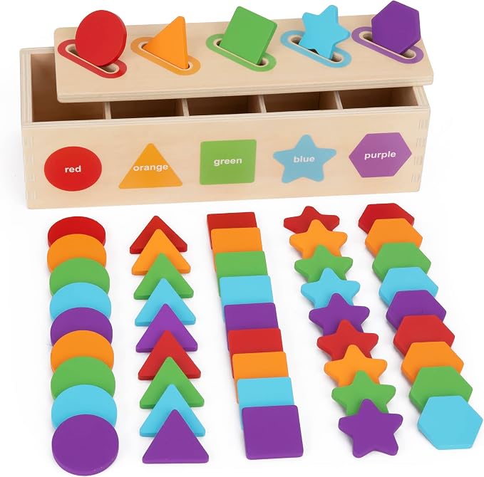 Montessori Toys for 1 2 3 Year Old, Color Sorting & Stacking Matching Toys | Learning Sorting Toys for Toddlers 1-3 Year Olds | Educational Toy Gift for 2 Year Old Boy Girl | 1st First Birthday Gifts