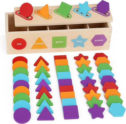 Montessori Toys for 1 2 3 Year Old, Color Sorting & Stacking Matching Toys | Learning Sorting Toys for Toddlers 1-3 Year Olds | Educational Toy Gift for 2 Year Old Boy Girl | 1st First Birthday Gifts