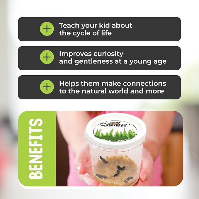 15 Live Caterpillars for Butterfly Kits, Painted Lady Refill with Food | Watch caterpillar to butterfly metamorphosis: includes food, instructions, hands-on science for kids, guaranteed live arrival