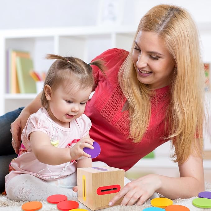 Montessori Toys for Toddlers 1-3 Color Sorting Wooden Object Permanence Box | Fine Motor Stacking Learning Matching Game for Toddlers 1 2, Educational Preschool Birthday Gift for 12-18 Month Boys Girls