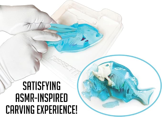 Dissect-It, Piranha Dissection Kit, STEM Toys for Kids, Ages 6+ | Piranha Anatomy, Examine Realistic Organs & Complete Skeleton, Then Rebuild with 2 Gel Refill Packs for STEM Learning