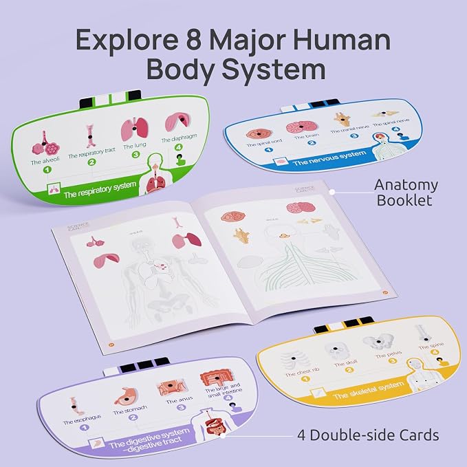 Science Can Human Body Model for Kids, Interactive Anatomy Learning Toys | 11" Human Anatomy Model, Knowledge/Quiz Mode, 15pcs Removable Parts, Learning Booklet, Educational Toy, Gifts for Kids Age 6+
