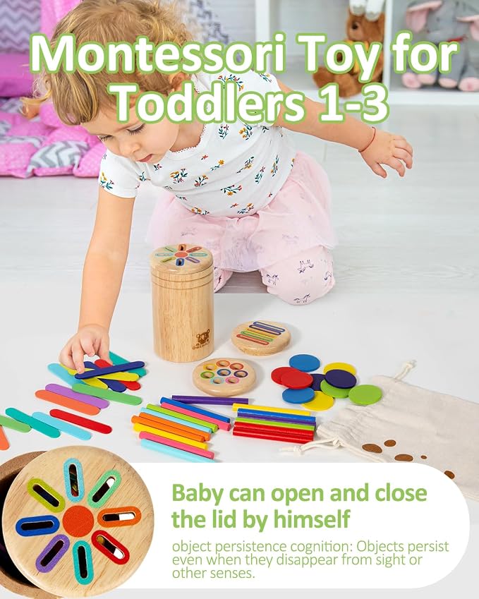 Wooden Sorting Toy for Toddlers 1-3 - Fine Motor Skills Toys,3 in 1Baby Coin Bank & Color Matching Game - Sensory Educational Toy for Boys Girls Travel Activities