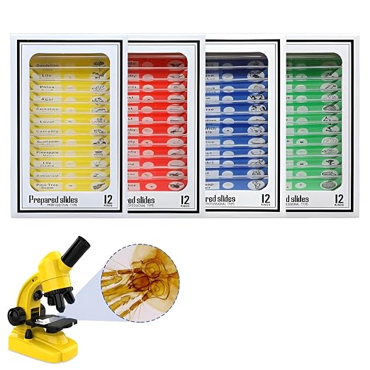 48pcs Microscope Slides with Specimens for Kids – Kids Prepared Stereo Microscope Slides for Stereo Microscope and Other, Animals Insects Plants Flowers Specimens | Prepared Stereo Microscope Slides, Animals, Insects, Plants & Flowers Specimens