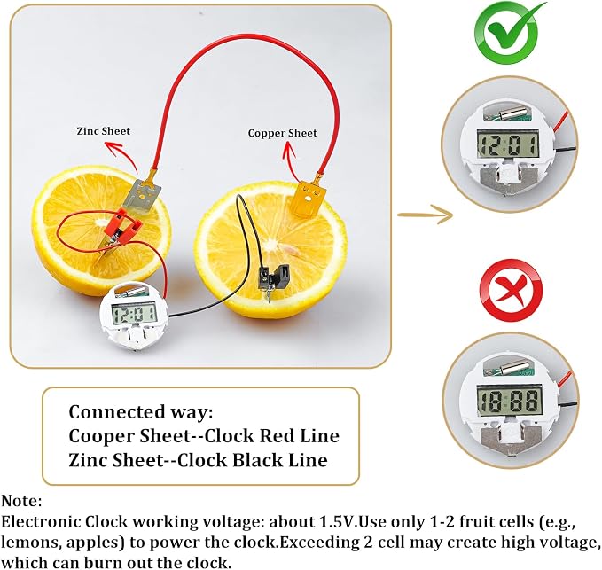 Science Kits for Kids Age 8-12, 6 Pack Fruit Battery Bulk STEM Circuit Kits | Science Experiment Projects for 2nd-5th Grade Classroom Activities, STEM Toys for 8 9 10 11 12 13 Year Old Gifts