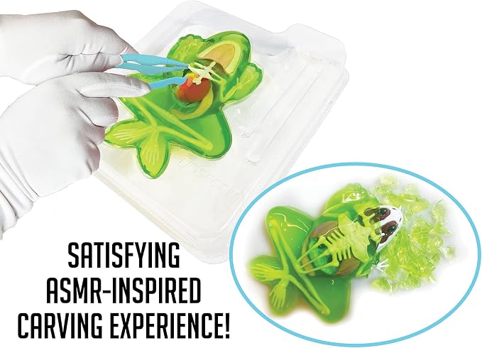 Dissect-It, Variety Animal Dissection Kit, STEM Toys for Kids, Ages 6+ | Multiple Animal Models, Explore Realistic Organs & Complete Skeletons, Then Rebuild with 2 Gel Refill Packs