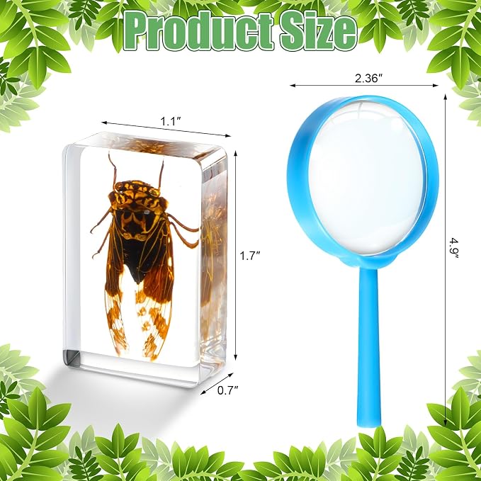 Lineshading 70 Pcs Insect in Resin Specimen with 7 Magnifying Glass Various Bugs Collection Paperweights Bug Kit Preserved in Resin for Kids Scientific Educational Classroom Display Collection