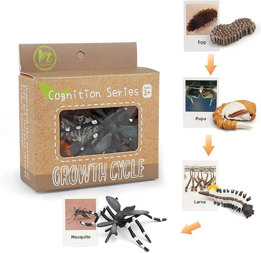 Montessori Life Cycle Animal Figures with Flash Cards, Realistic Animal Figurines Toy, Educational Matching Game for 3+ Year Old Kids (Mosquito)