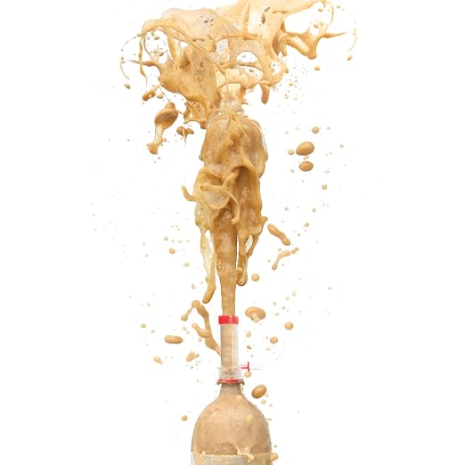 Steve Spangler Science Geyser Tube Chemical Reaction Experiment | For Kids, Amazing Geysers with Soda & Mentos Candy, School, Camp & Homeschool Science Kit, Includes 1 Tube