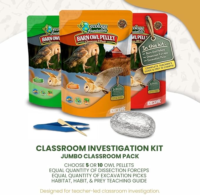 Barn Owl Pellets for Dissection for Classrooms, Large 5-Pack Kit by OBDK | Forceps, picks and instructor guide included, life science and ecology, bone sorting chart, hands-on lab activity