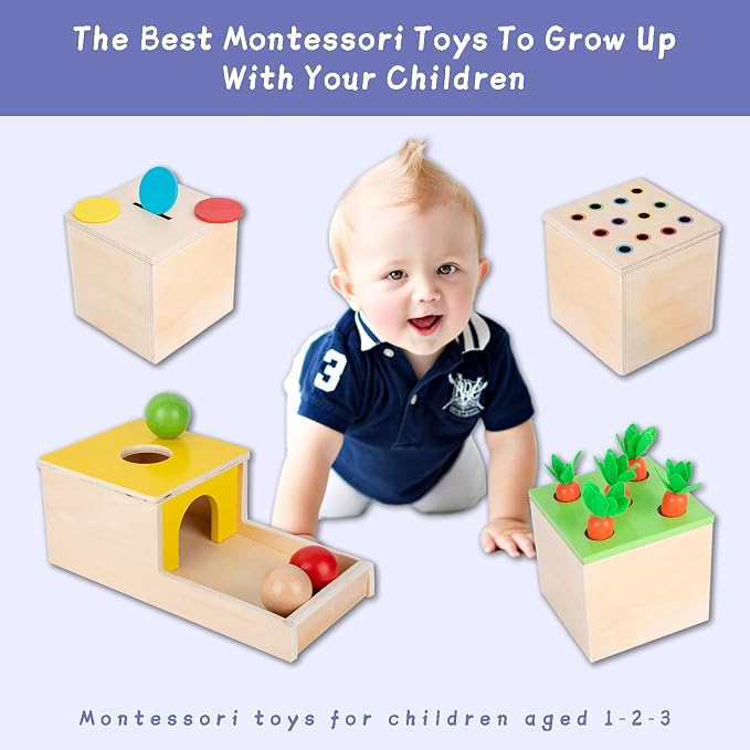 Adena Montessori 4 in 1 Wooden Play Kit for Babies 6-12 Months | Object permanence box, color drop, carrot, coin box, ball drop for hand eye coordination, fine motor, cognitive skills