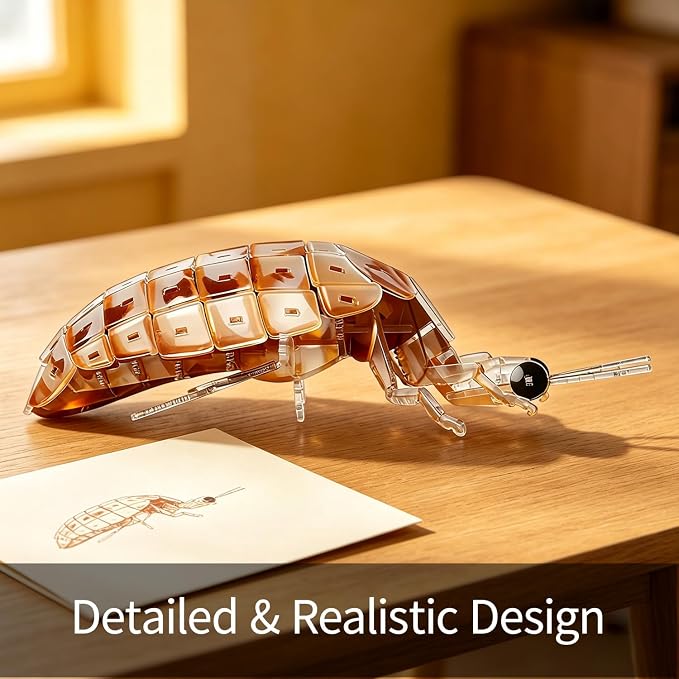3D Acrylic Insect Puzzle DIY Bug Model Kit Animal STEM Gift | Building Kits Crafts Figurine Sculpture Nature Decoration Educational Display Toys for Kids Teens and Adults (Ant Lion)