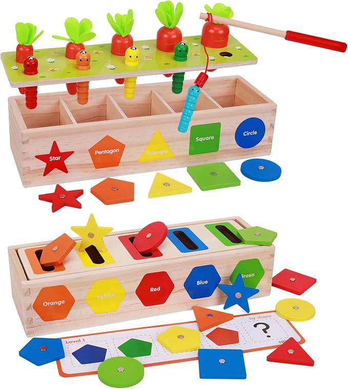 Montessori for Kids, Magnetic Color Shape Sorting Matching Box | Early Learning Toys, Wooden Educational Toy, Fine Motor Skills Toys for Boys Girls