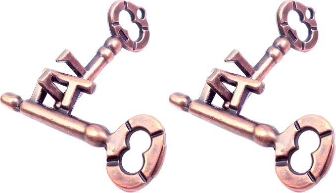 Traditional Metal Brain Teaser – Classic Puzzle Toy for Logic & Skill Development (Keys) (Pack of 2)