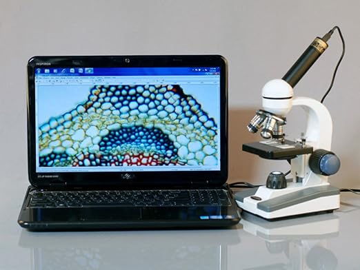AmScope M150C-50WM-50P100S Compound Monocular Microscope, WF10x and WF25x | 40X-1000X Magnification Range Compound Biological Microscope Built-In LED Illumination Brightfield Imaging Built-In