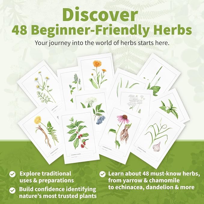 Herb Notes Plant Identification Cards, 48 Illustrated Botanical Flash Cards | Herb Cards for Plant Identification, Nature Study & Classroom Learning, Compatible with Learning Herbs Wildcraft! Board Game