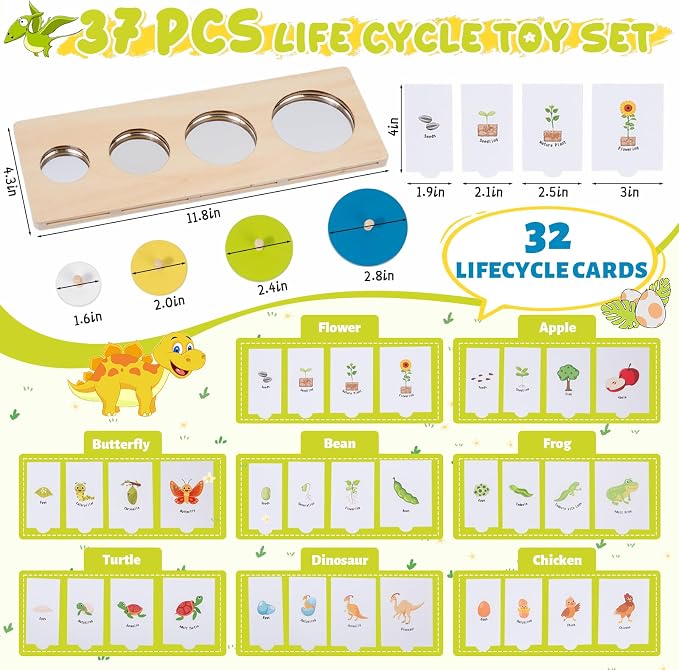 Wooden Circle Peg Puzzle with Mirror & 8 Life Cycles,First Baby Knob Puzzle | 32 Learning Cards for 8 Animal & Plant Life Cycles,Peekaboo Mirror Puzzle for Toddlers 1-3,Montessori Preschool Learning Toy