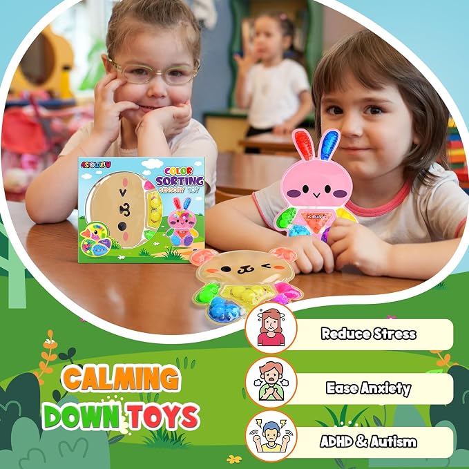2Pcs Color Sorting Sensory Toys for Kids with Autism Toddler Toys for Airplane Travel Road Trip Preschool Montessori Toys Fine Motor Skills A Easter Basket Stuffers Gifts for Kids Boys Girls
