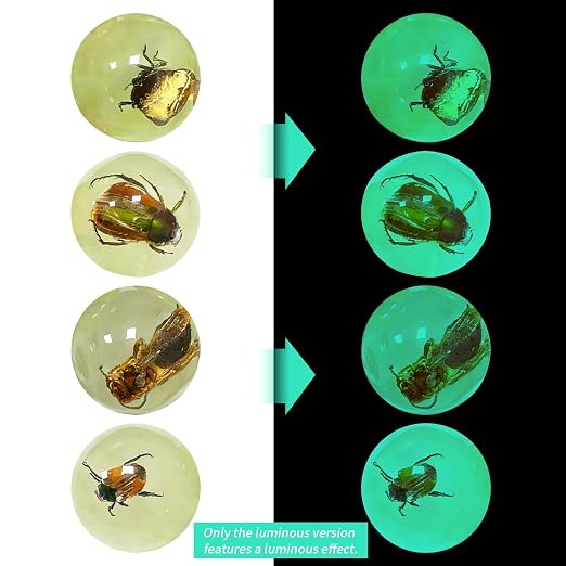 9 pcs Insect Amber Fossils, BOSOIRSOU Fossil Pendants, Different Insect Specimen, Bug Preserved in Resin, Educational and Scientific Amber Collections - Random Patterns