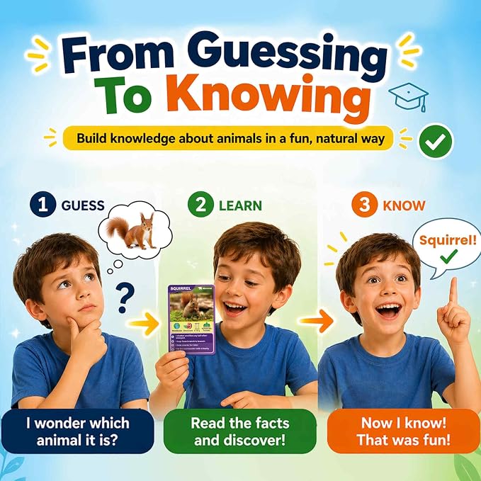 Quokka Who Guess It Better Animals Volume 2 – Educational Game with Visual Clues, Animal Discovery Card Set, 50 Cards, Screen-Free Travel Game for Kids Ages 6+