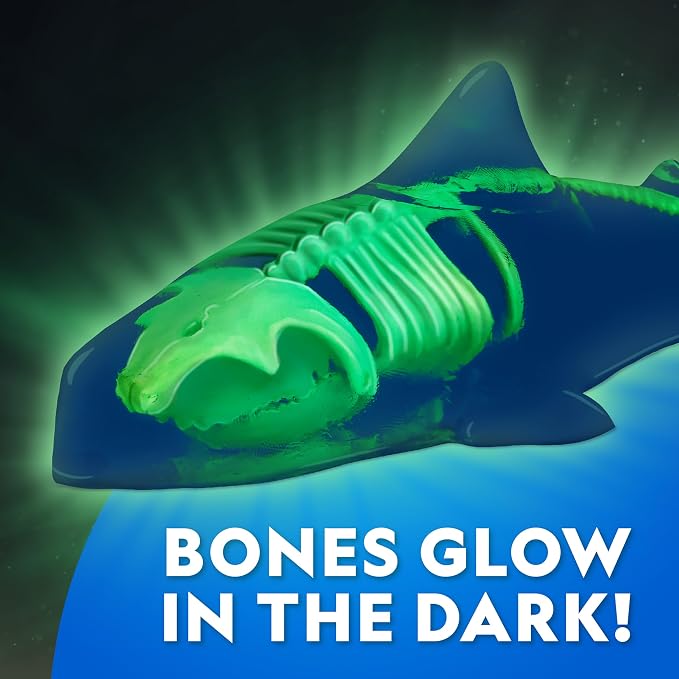 National Geographic Glow-in-the-Dark Shark Dissection Kit for Kids | Glow-in-the-Dark Great White Model, 12 Bones and Organs, Refill Pack, Kid-Friendly Tools, Shark Anatomy, Birthday Gift