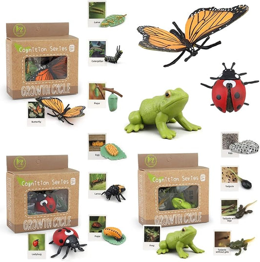 Montessori Life Cycle Learning & Education Toys, Plastic Insect Ladybug Monarch Butterfly Tadpole to Frog Kit, Preschool Learning Activities