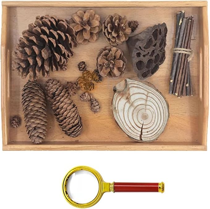 Montessori Nature Exploration Kit, Kids Outdoor Sensory Science Toy