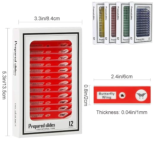 48pcs Microscope Slides with Specimens for Kids – Kids Prepared Stereo Microscope Slides for Stereo Microscope and Other, Animals Insects Plants Flowers Specimens | Prepared Stereo Microscope Slides, Animals, Insects, Plants & Flowers Specimens
