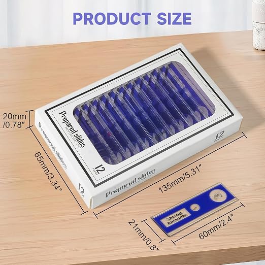 Jiusion 48Pcs Prepared Microscope Slides Specimen Set for Stereo Microscope | Safe Plastic Biological Samples of Animals, Insects, Plants & Flowers for Kids, Students Enlighten Education