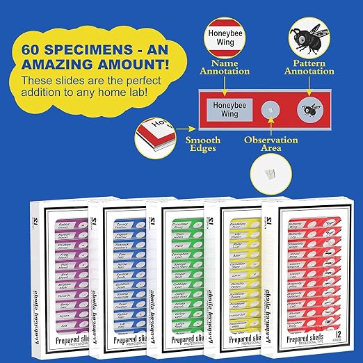 Jiusion 60Pcs Prepared Microscope Slides Specimen Set for Stereo Microscope | Safe Plastic Biological Samples of Animals, Insects, Plants & Flowers for Kids, Students Enlighten Education