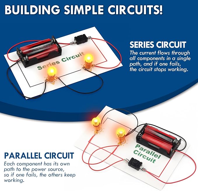 STEM Electric Circuit Kit, Electricity Science Project Light Bulb Experiments for Kids Teens, Electrical Engineering Kits Age 8-12 12-14, Fruit Energy Projects Circuits Experiment