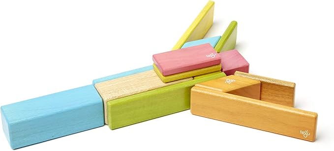 Tegu Wooden Tints Set, Assorted, 14 Pieces (TEG14PTNT306T)