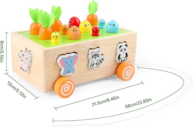Montessori Wooden Pull Along Toy, Shape Sorting Educational Game for Toddlers 1-3 Years Old. Perfect First Birthday Gift for Baby Boys Girls, Preschool Learning Toy Develops Fine Motor Skills
