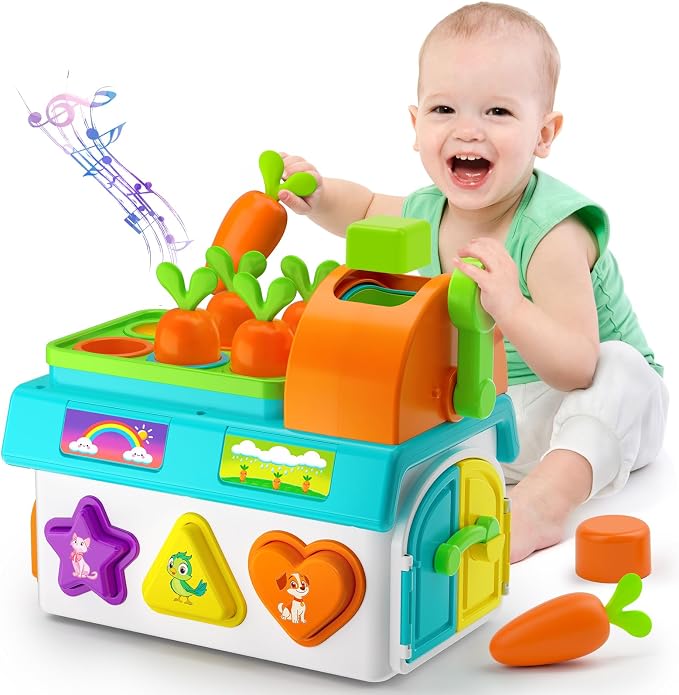 Learning Toys for 1,2 Year Old Girl Boy Gifts, Montessori Shape Sorting Toys for Toddler 1-3 Age, Musical Educational Baby Toy 12-18 Month, Christmas Birthday Gift for 1-2 Year Old Girl Boy