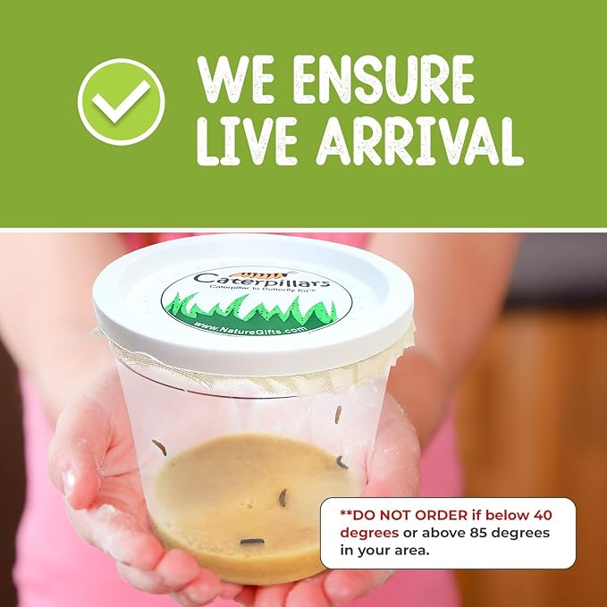 15 Live Caterpillars for Butterfly Kits, Painted Lady Refill with Food | Watch caterpillar to butterfly metamorphosis: includes food, instructions, hands-on science for kids, guaranteed live arrival