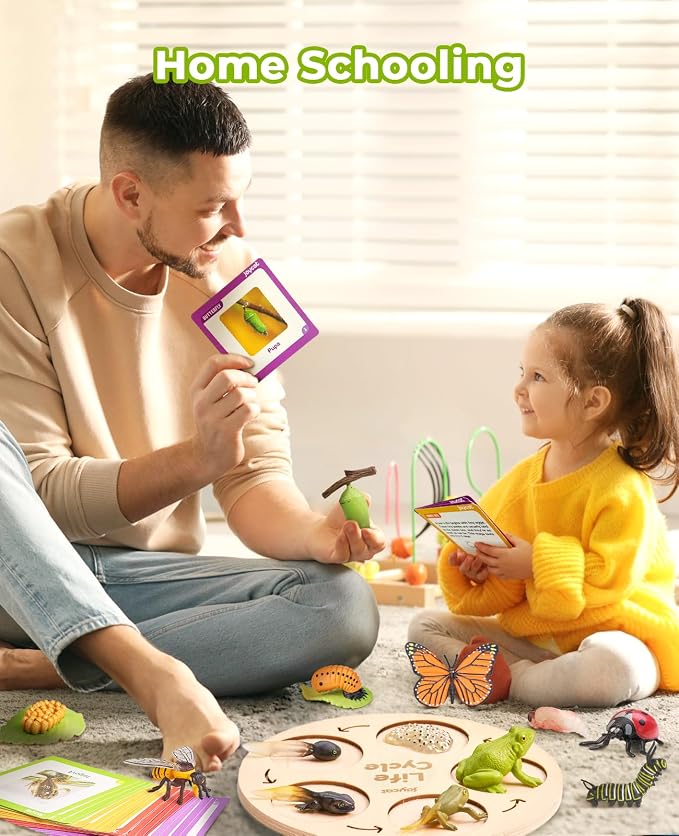 JoyCat Life Cycle Learning Education Toys, Insect Caterpillar to Butterfly kit, Ladybug, Bee, Tadpole to Frog Kit Life Cycle Toys for Kids, Preschool Learning Activities for Age 3 4 5 6 7 8 | Explore butterfly, frog, ladybug and bee stages with 21 card...
