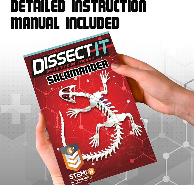 Dissect-It Kit for Kids, Simulated Synthetic Lab Dissection Toy, Salamander STEM Toys for Animal Science, Biology, and Anatomy | Salamander Anatomy, Examine Realistic Organs & Complete Skeleton, Then Rebuild with 2 Gel Refill Packs for STEM Learning