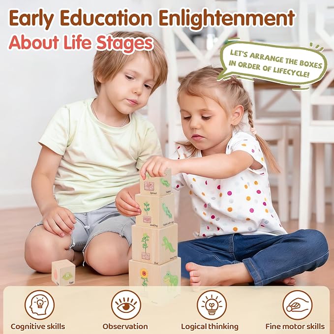Wooden Life Cycle Nesting Blocks, Montessori Preschool Learning Toy | For Animal Life Cycles, Stacking & Sorting Blocks, Nesting Cube Boxes,Educational Science Toy for Kids 3+ (5 Pcs)