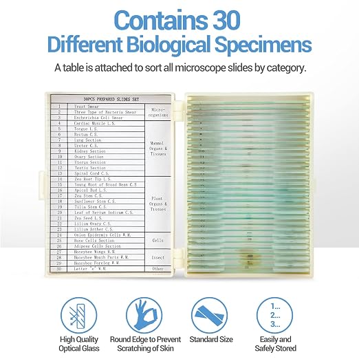 30 Microscope Slides with Specimens for Kids, Prepared Microscope Slides for Kids Microbiology, Glass Slides for Microscope, Biology Gifts for Adults Kids | Prepared Microscope Glass Slides Kit for Kids 8-12, Biology Slides Set Gifts for Students Child...