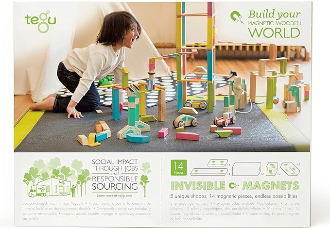 Tegu Wooden Tints Set, Assorted, 14 Pieces (TEG14PTNT306T)