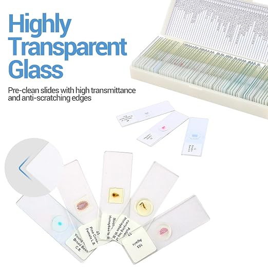 60 Microscope Slides with Specimens for Kids, Prepared Microscope Slides for Kids Microbiology, Prepared Microscope Slides for Adults | Prepared Microscope Glass Slides Kit for Kids 8-12, Biology Slides Set Gifts for Students Childs Lab School Education