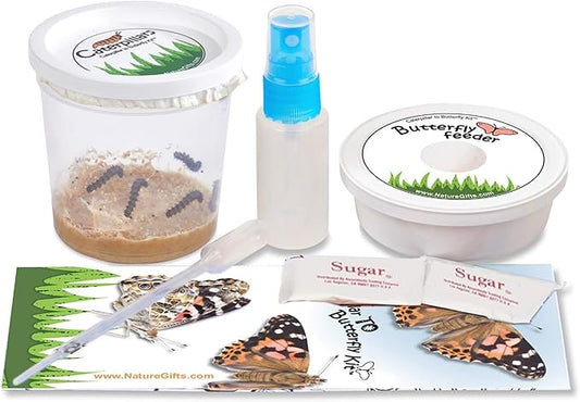 5 Live Caterpillars for Butterfly Kits, Refill with Food, Rearing Supplies | Watch caterpillar to butterfly metamorphosis: includes food, mister, feeder, sugar, eye dropper and easy instructions