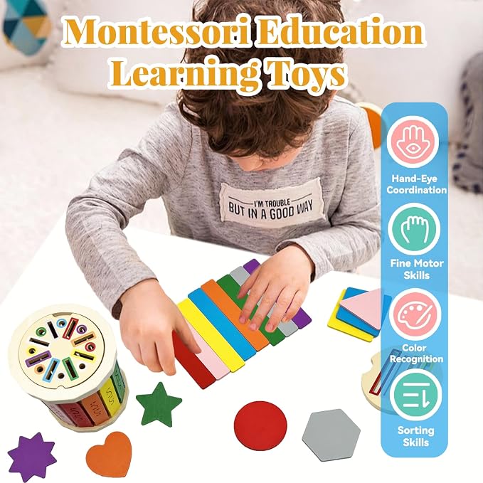 Montessori Wooden Stick Color Sorting Toys for 18+ Month, Dual Play Educational Preschool Learning Fine Motor Skills Sensory Toys for Toddlers 3-5 Year Girl Boy Birthday Gifts (Rainbow Bucket)