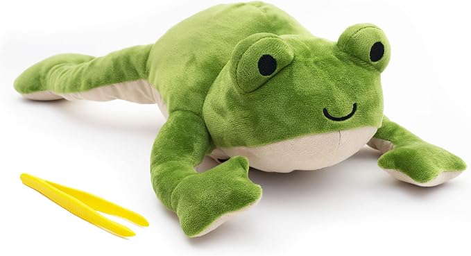 KiwiCo Froggie Lab Dissection Plush Toy | 5-Piece Organ Anatomy Learning Activity | Interactive Biology STEM Stuffed Animal for Kids Ages 3+ - Art & Science Gift