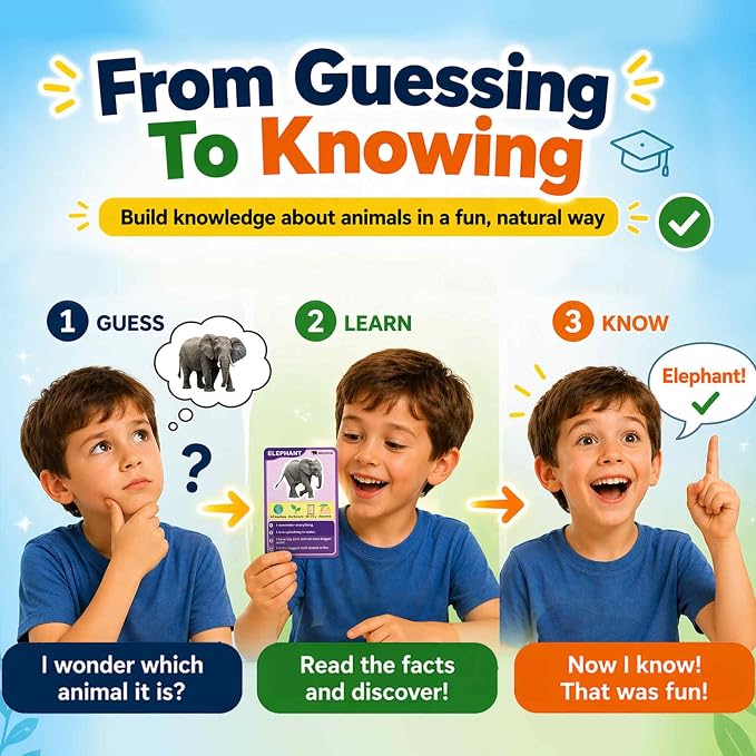 Quokka Who Guess It Better Animals Volume 1 – Educational Game with Visual Clues, Animal Discovery Card Set, 50 Cards, Screen-Free Travel Game for Kids Ages 6+
