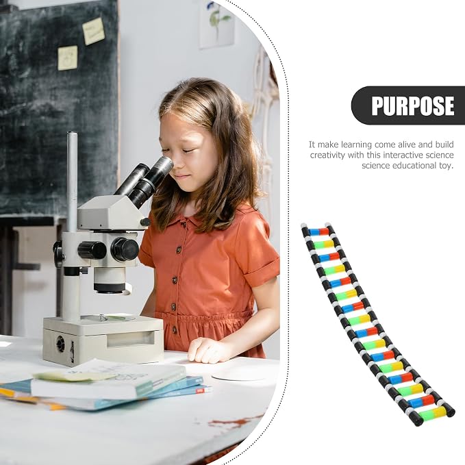 iplusmile DNA Model Kit Double Helix Structure, 3D Science Teaching Instrument for Biology Class, Genetics Learning Educational Toy for Students Kids Assembly Display
