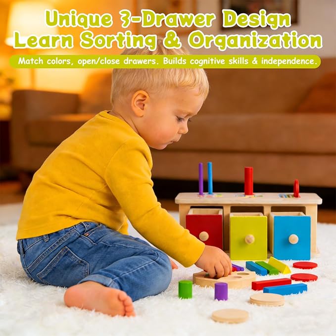 Montessori Toys Wooden Color & Shape Sorter Toys for Toddlers 1-3，Color Matching Toys，Educational Fine Motor Skills Toys, Preschool Learning Educational Toy for 1 2 3 Year Old Boy Girl Kid Gifts
