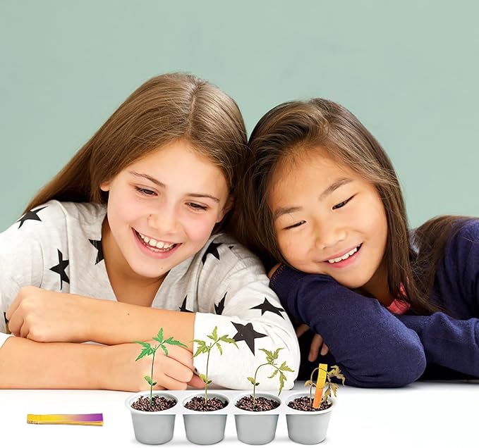 4M Green Science Weather Science Kit - DIY Mini Observatory & STEAM Toy | Explore static electricity, water cycles and cloud formation with this educational science lab for kids aged 5 and up
