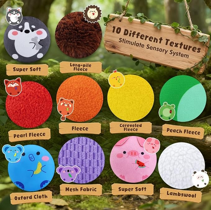 Sensory Toys Texture Bean Bags for Kids, 10 Packs | Texture Sensory Beanbags, Sensory Toys for Autism Kids, Animal Sensory Fine Motor Toys, With Storage Bag