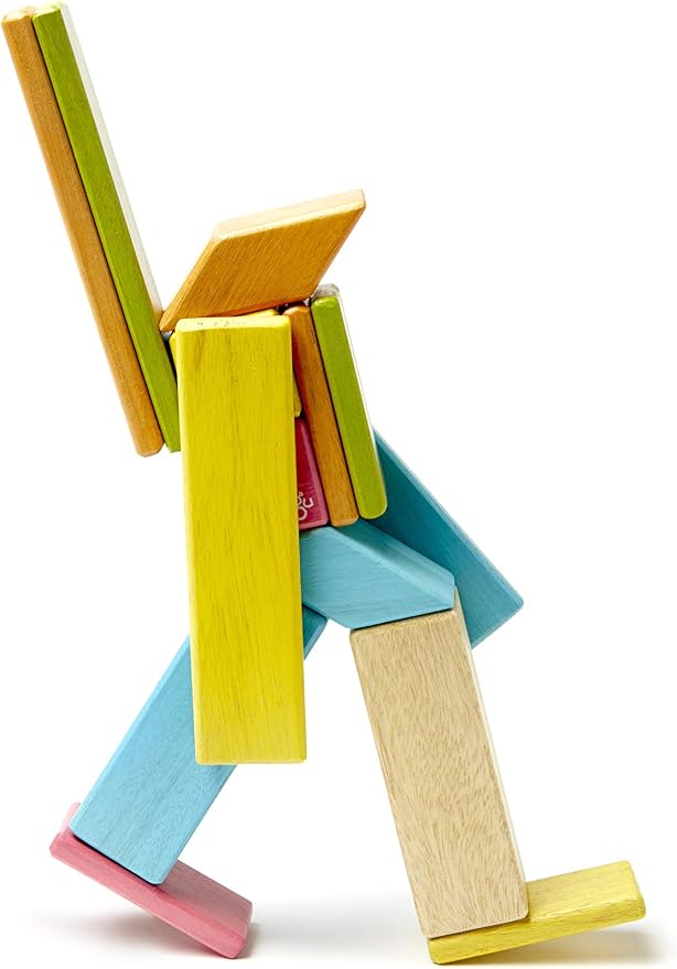 Tegu Wooden Tints Set, Assorted, 14 Pieces (TEG14PTNT306T)